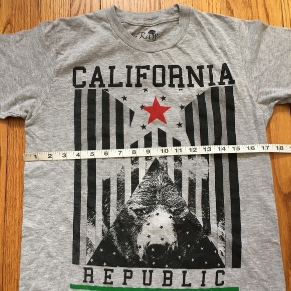 The Raw Uncut Men’s Graphic Print Crew neck Gray Short Sleeve Tee Size S - Picture 5 of 9